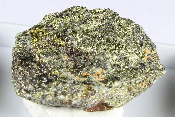Brassy Cubanite & Chalcopyrite Formation - Finland #380591